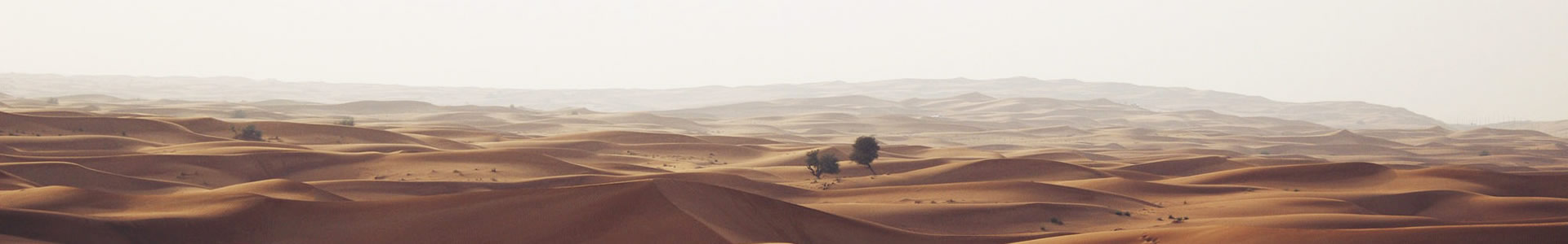 ݻʵ޹˾